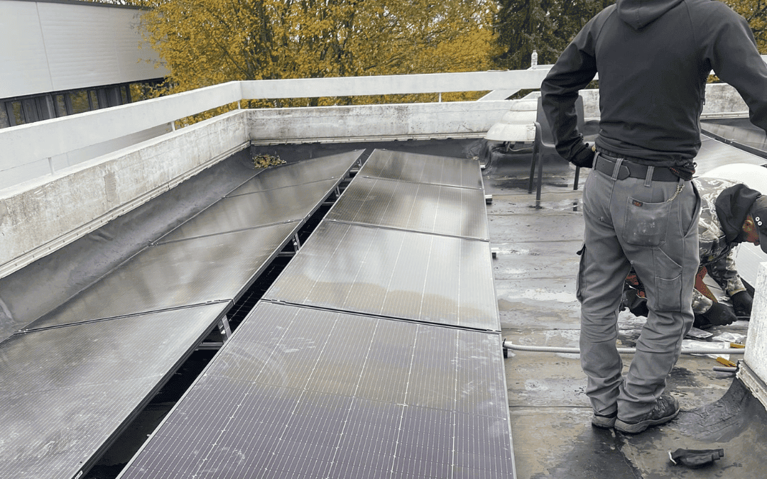 Grüner Strom: PV-Anlage selbst installieren – So geht’s